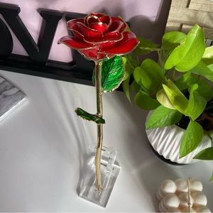 24K Sinvitron Gold Dipped Rose 🌹